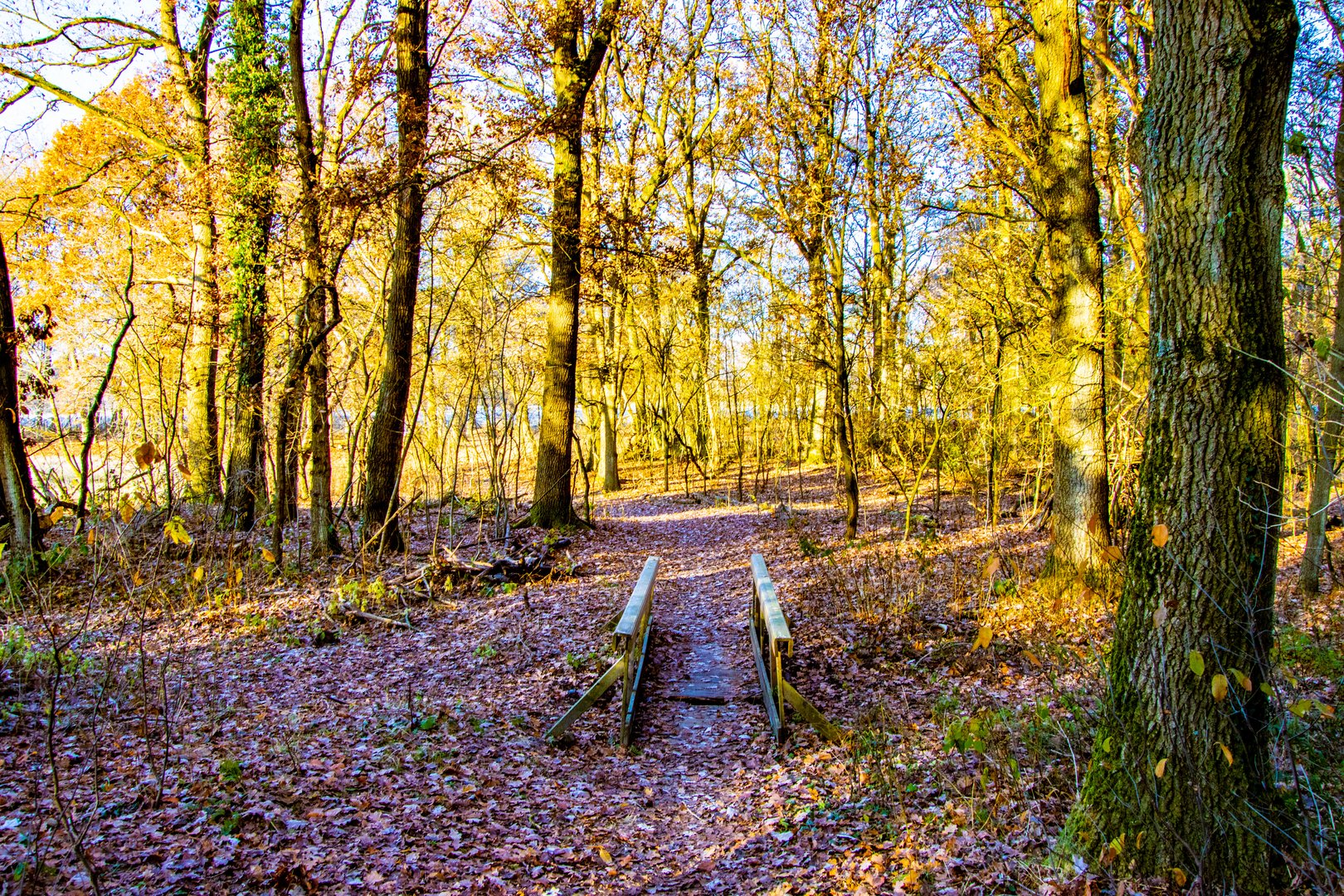 Brücke im Nirgendwo