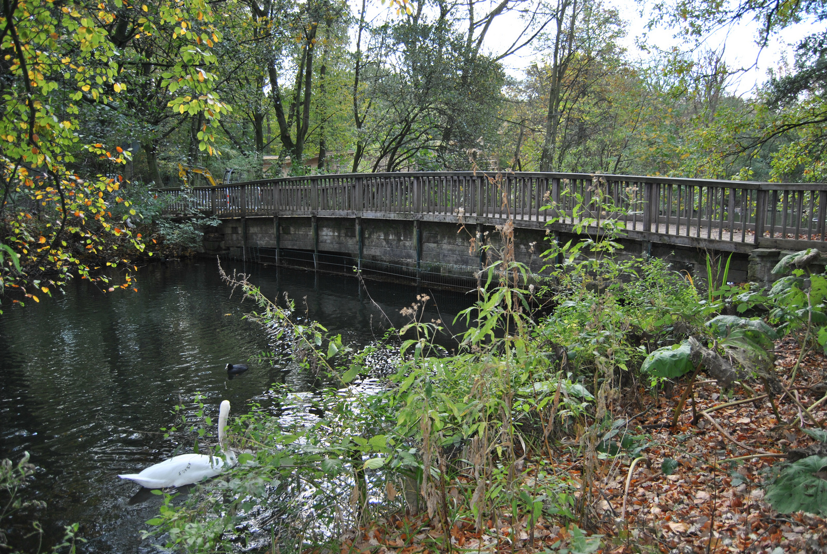 Brücke im nirgendwo