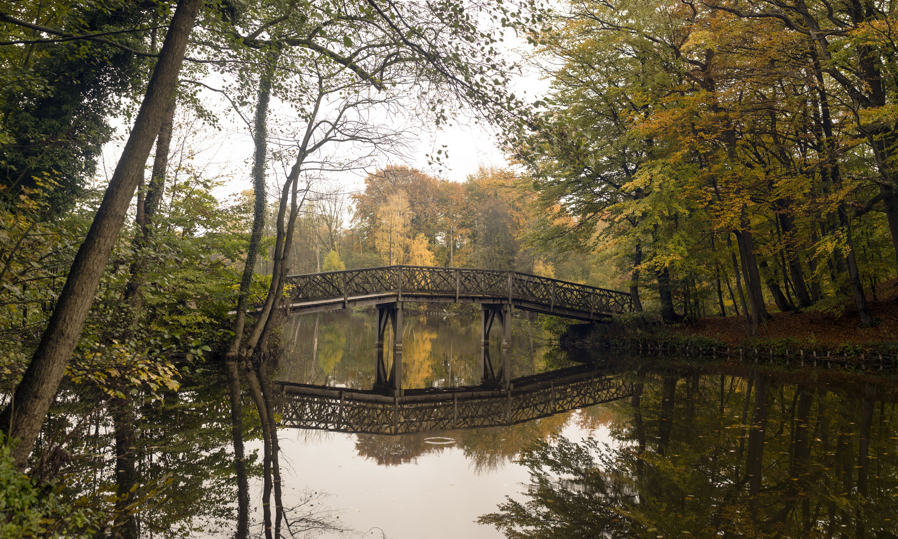 Brücke im Novemberniesel