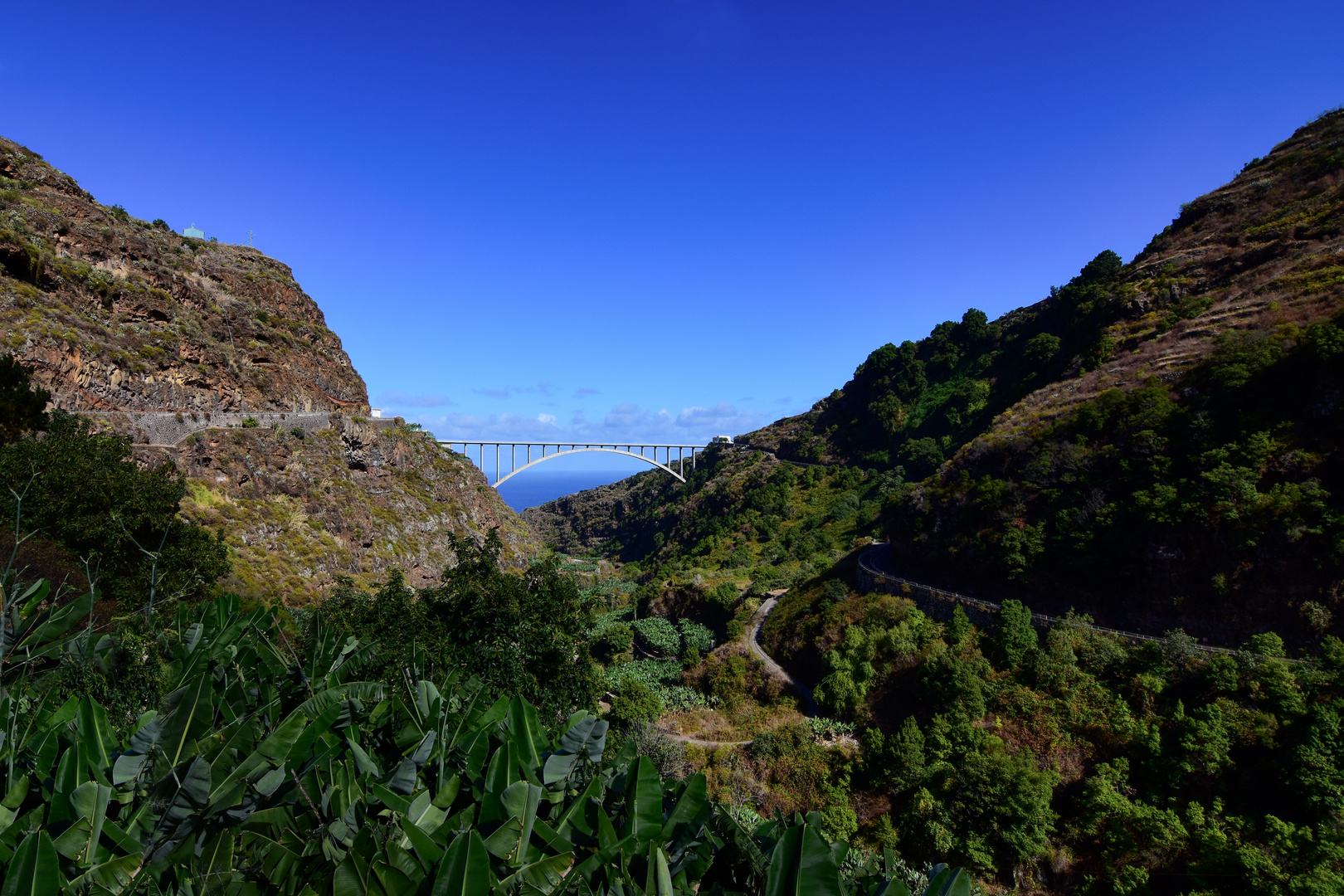 Brücke im Paradies