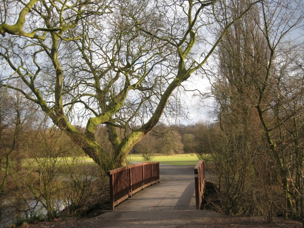 Brücke im Park