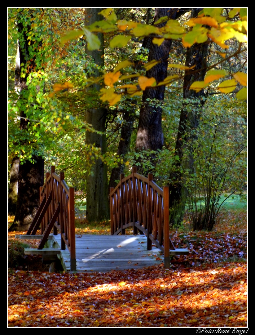 Brücke im Park