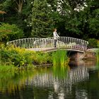 Brücke im Park...