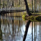 Brücke im Park