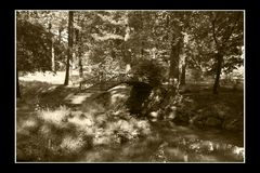 Brücke im Park