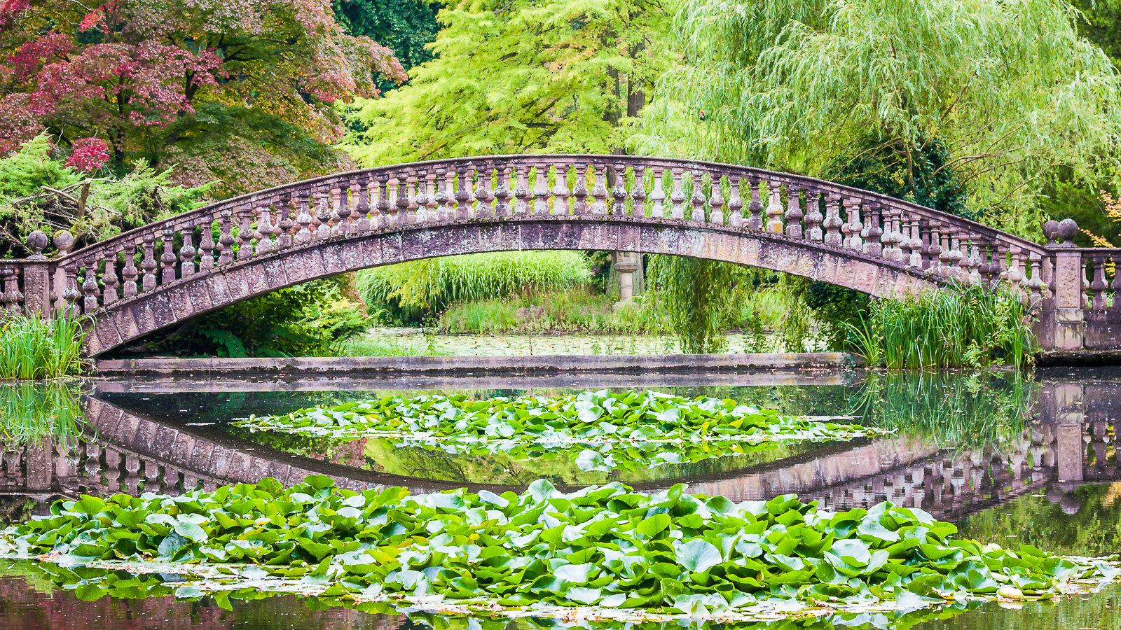 Brücke im Park