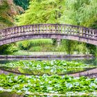 Brücke im Park