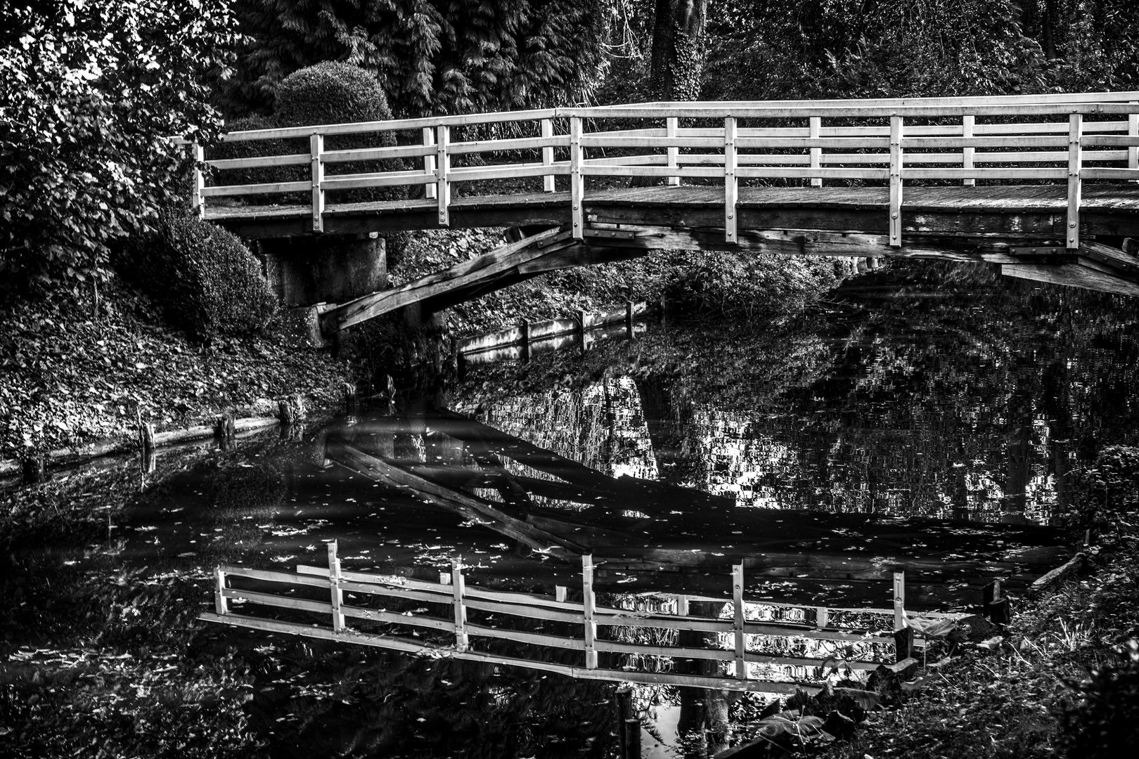 Brücke im Park