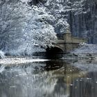 Brücke im Park