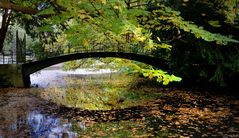 Brücke im Park