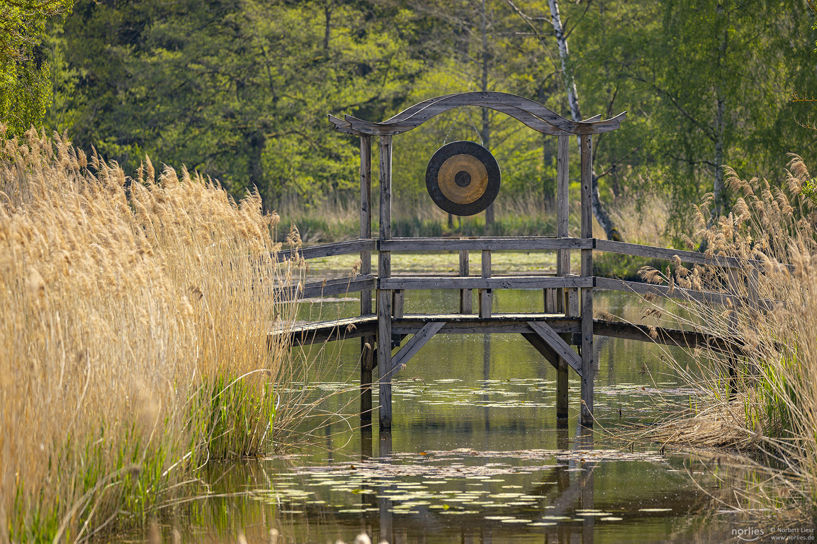 Brücke im Park