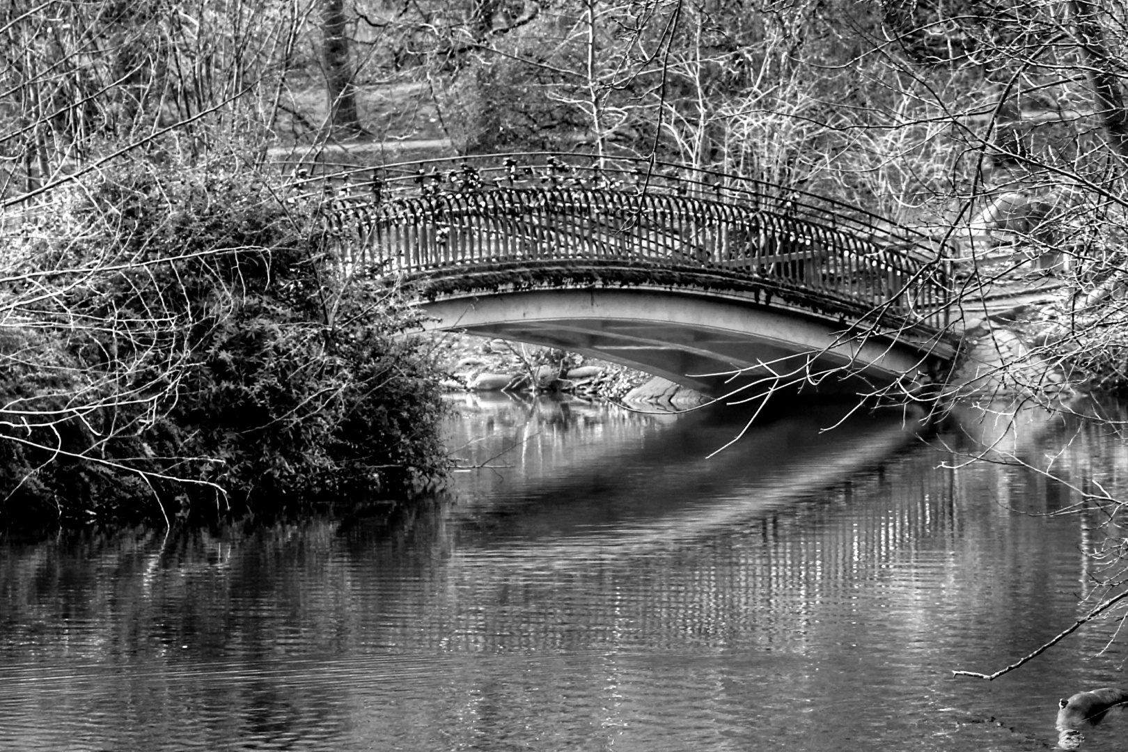 Brücke im Park 