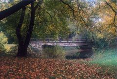 Brücke im Park