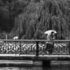 Brücke im Regen