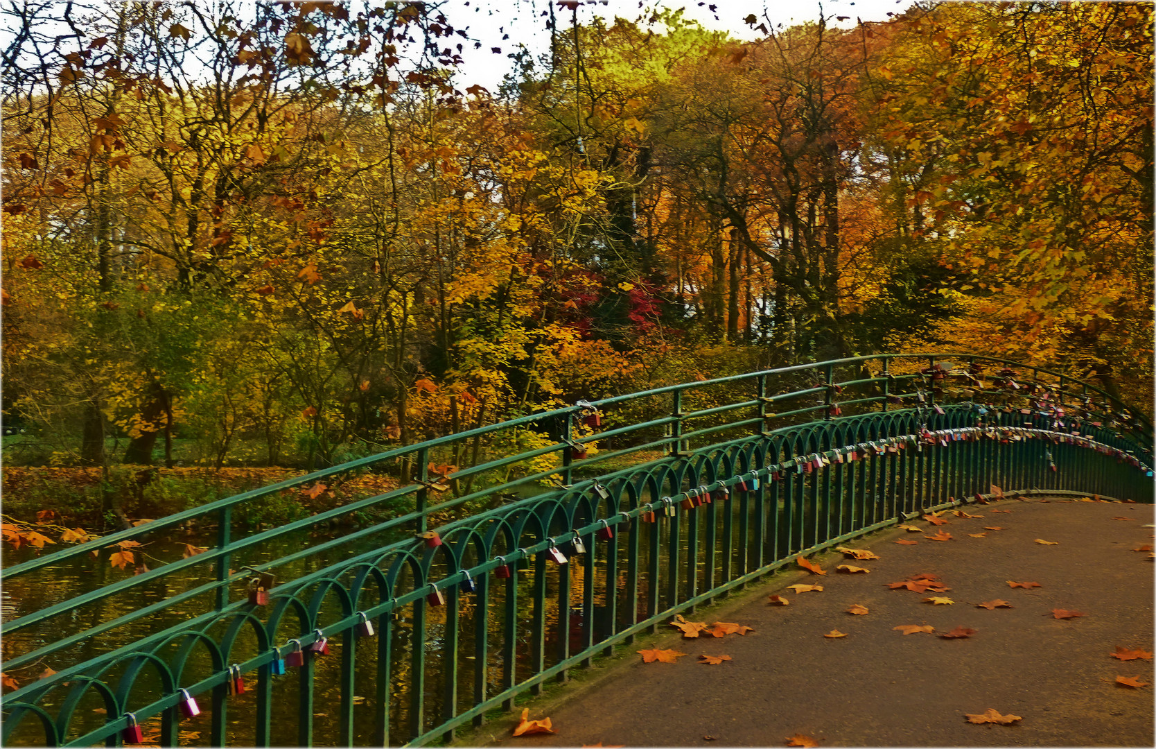 Brücke im Rombergpark