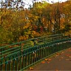 Brücke im Rombergpark
