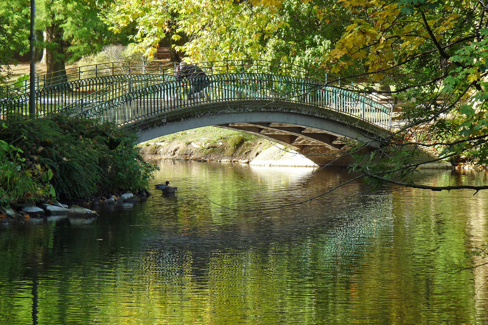 Brücke im Rombergpark