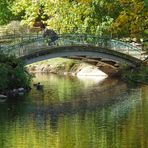 Brücke im Rombergpark