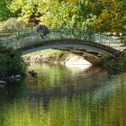 Brücke im Rombergpark