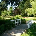 Brücke im Rosarium Uetersen