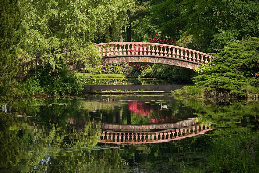 Brücke im Schloss Wolfsgarten