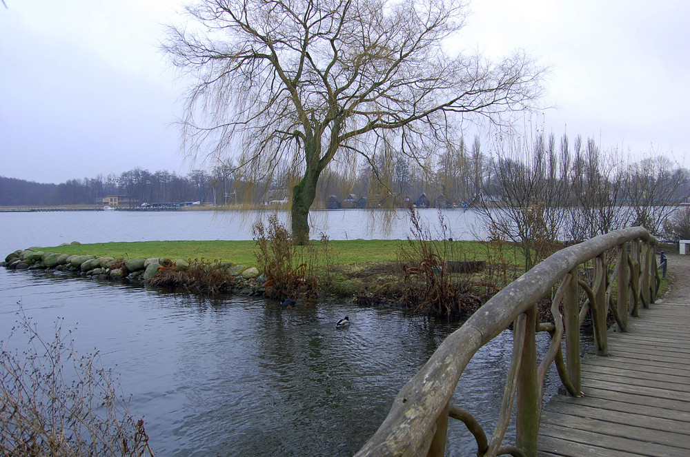 brücke im schlossgarten