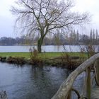 brücke im schlossgarten