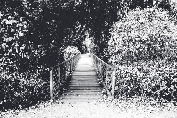 Brücke im Schlossgarten