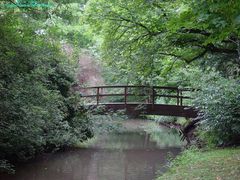 Brücke im Schlossgarten