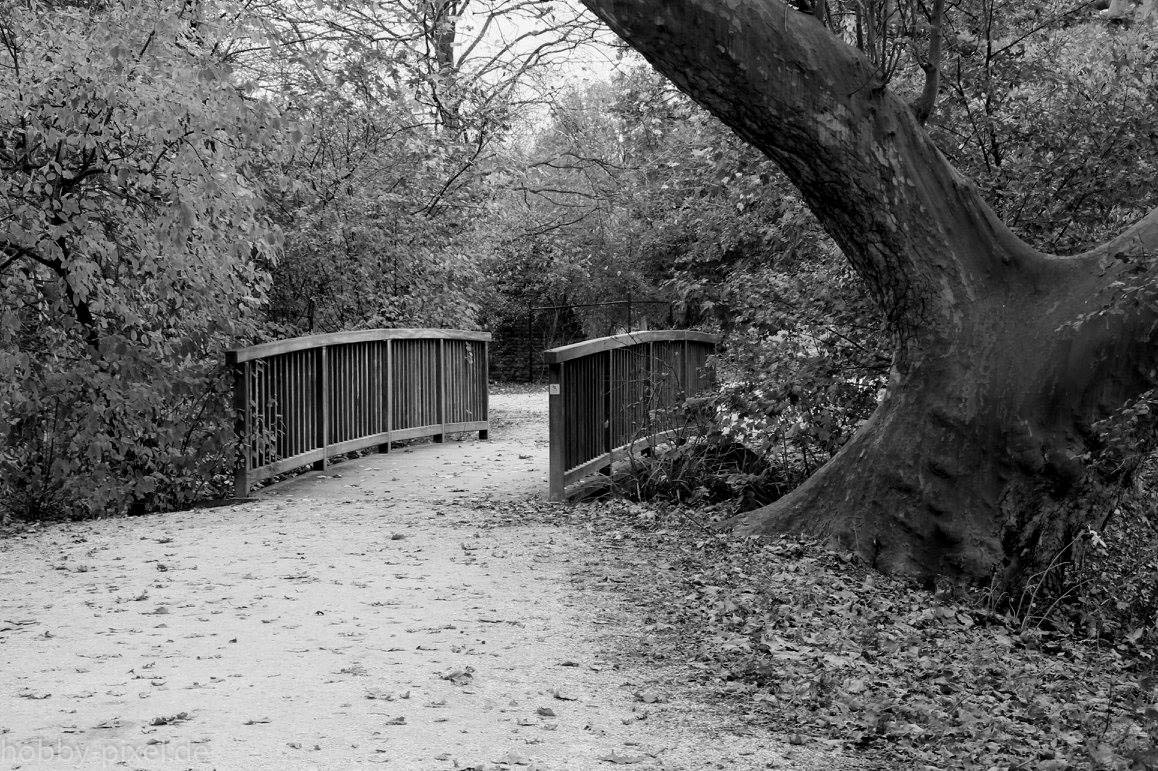 Brücke im Schlosspark