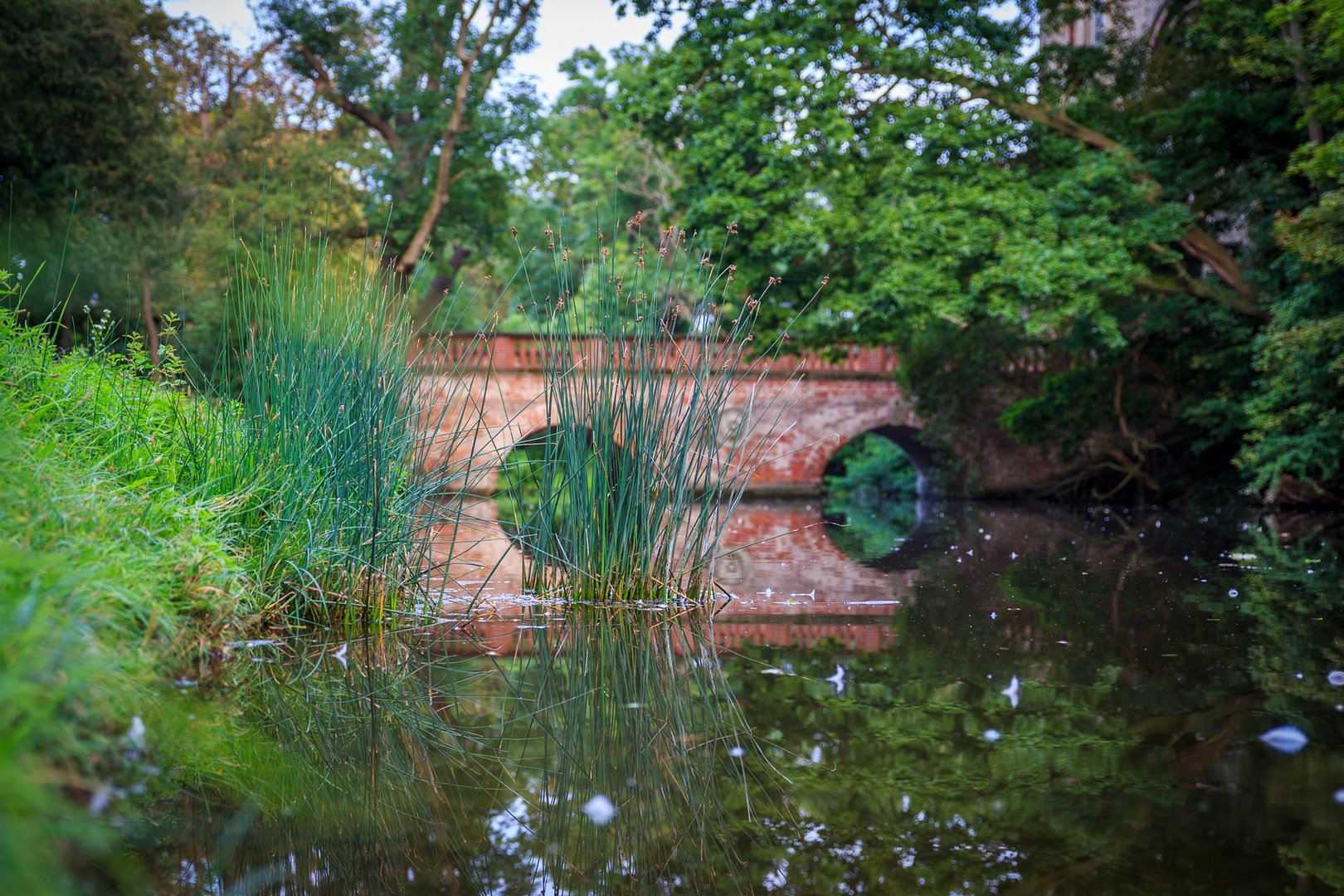 Brücke im Schlosspark Köthen