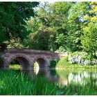 Brücke im Schönbusch