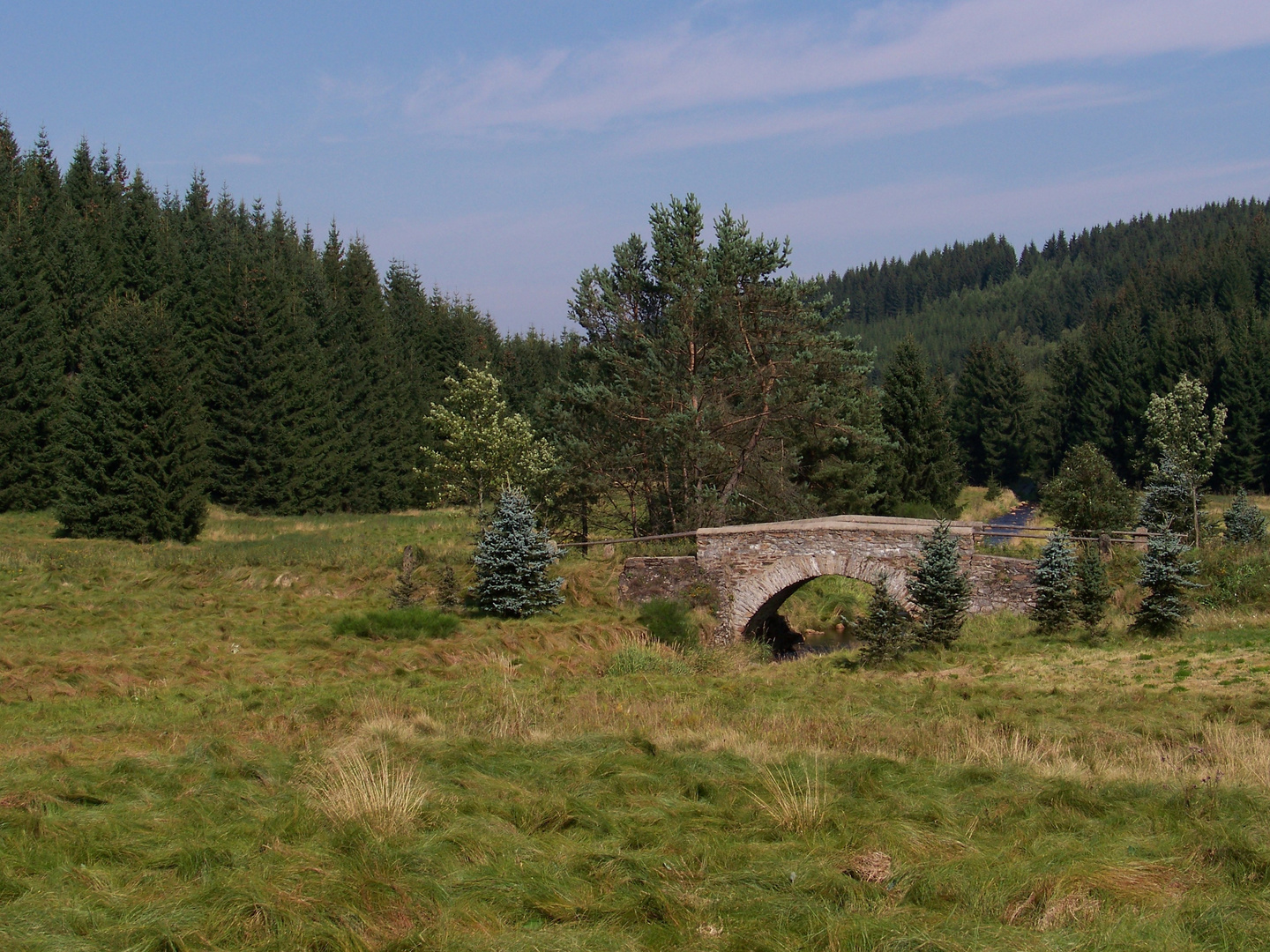 Brücke im Schwarzwassertal