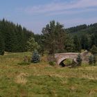 Brücke im Schwarzwassertal