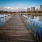 Brücke im Seepark Lahr