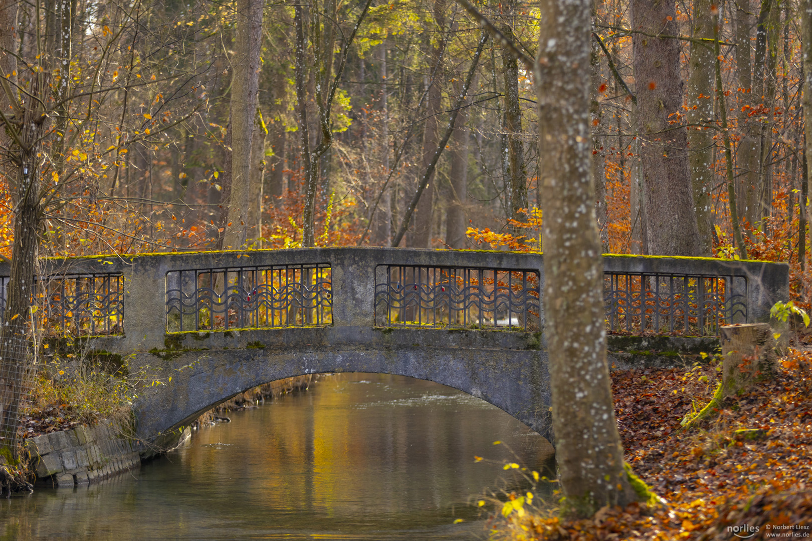 Brücke im Siebentischwald