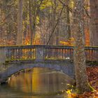 Brücke im Siebentischwald