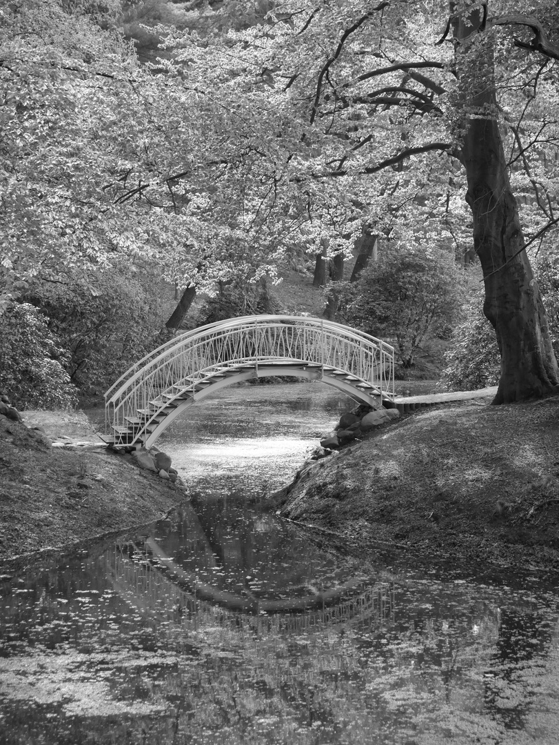 Brücke im Spiegel