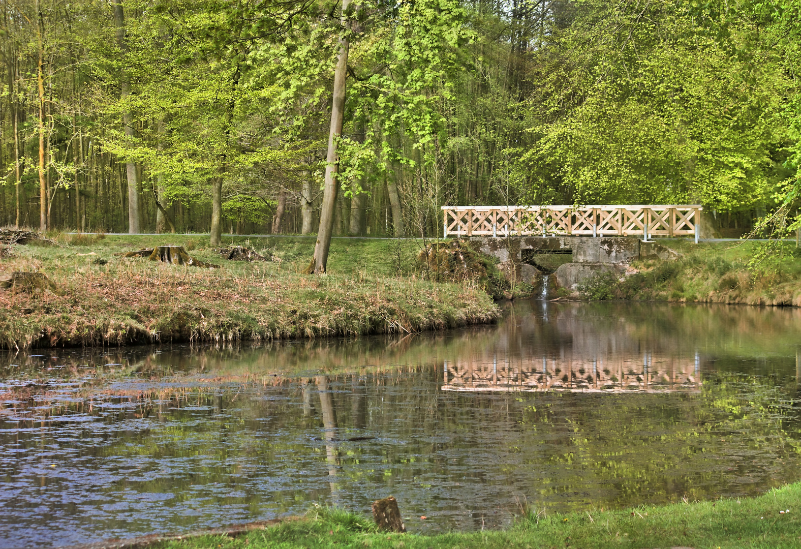 Brücke im Spiegel