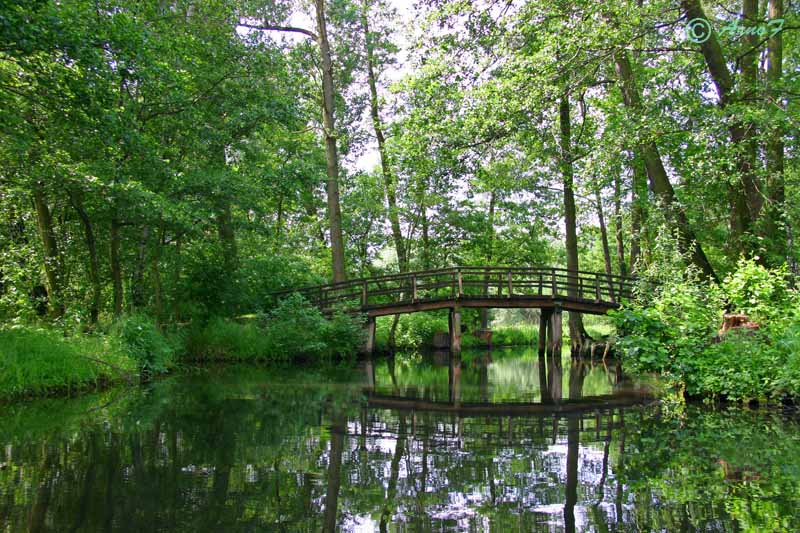 Brücke im Spreewald