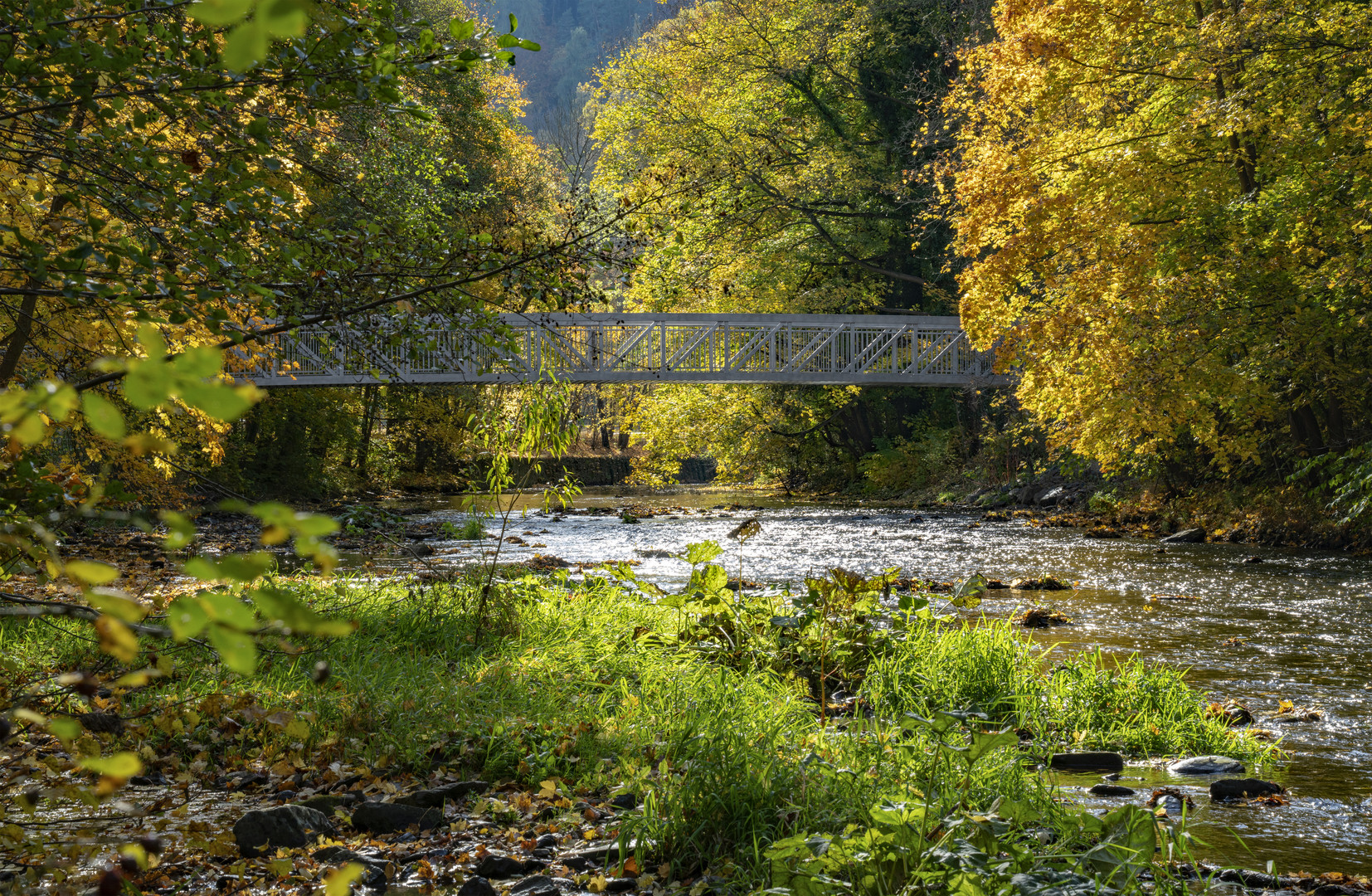 Brücke im Stadtpark