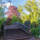 Brücke im Stadtpark