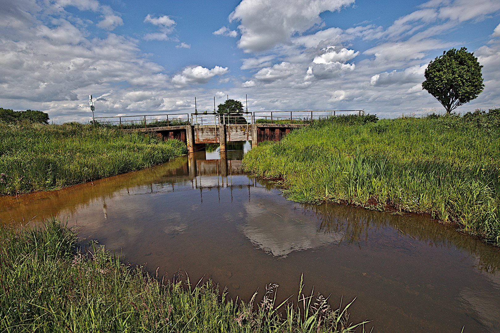 Brücke im Süstedter Bruch