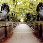 Brücke im Tiergarten