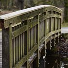 Brücke im Tierpark