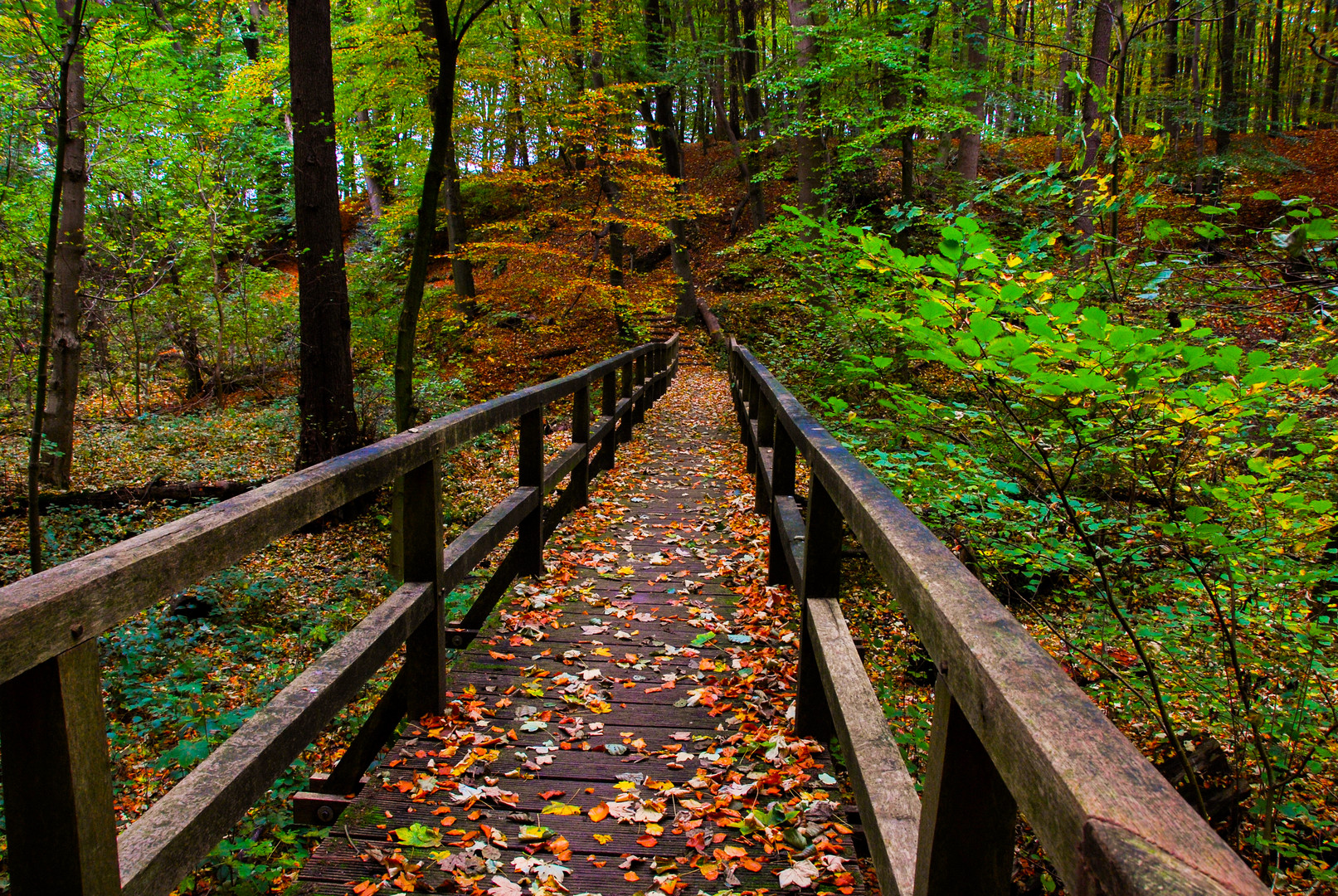 brücke im traum