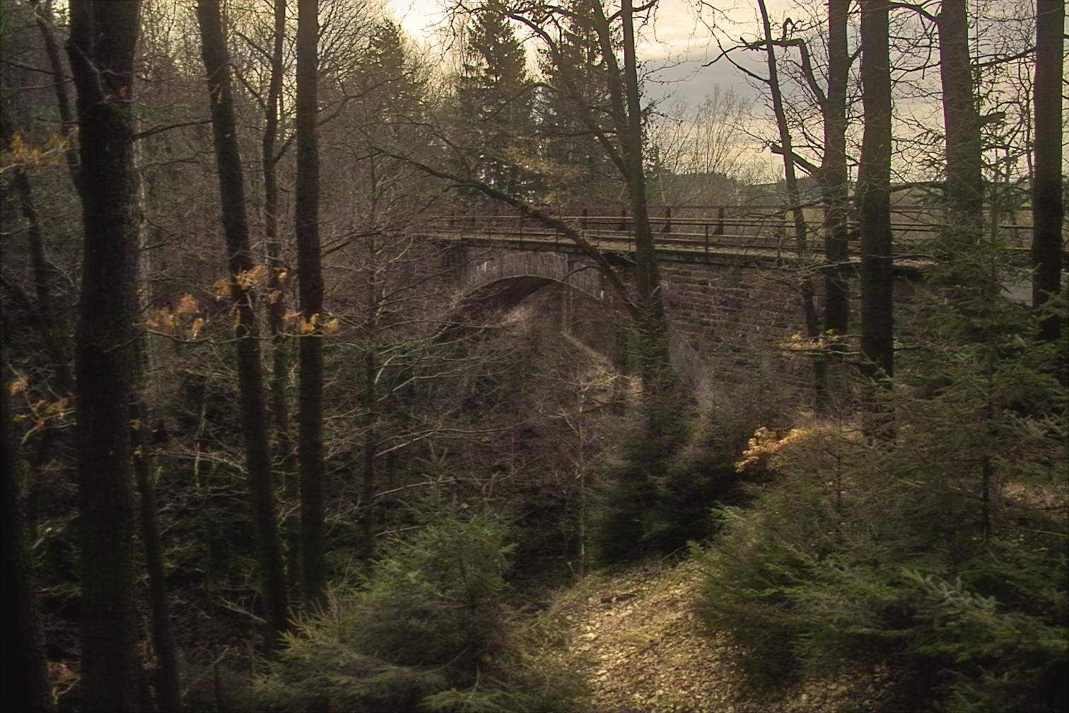 Brücke im Wald