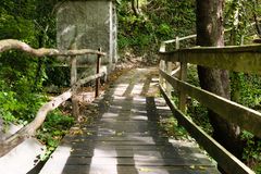 Brücke im Wald