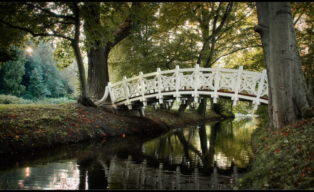 ..Brücke im Wald