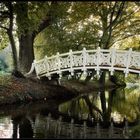 ..Brücke im Wald